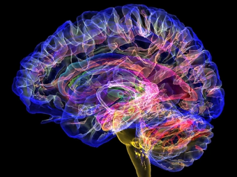 尤物插入调教视频夜夜嗨大脑植入物有助于严重头部损伤恢复